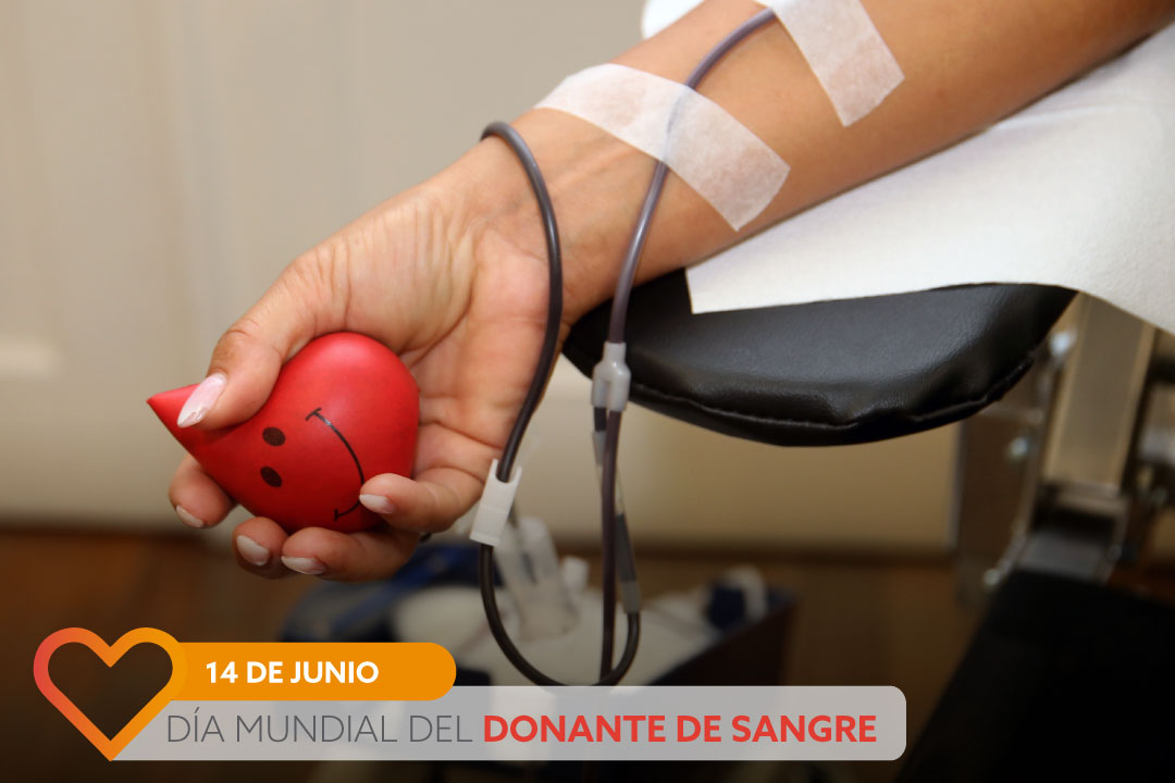 Día mundial del donante de sangre: Actividades en el Cabildo Histórico de la ciudad