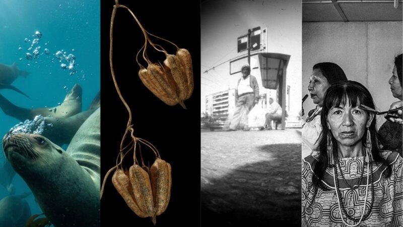 Agenda cultural: los espacios culturales de Córdoba renuevan su propuesta expositiva