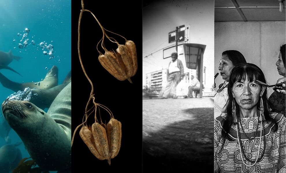 Agenda cultural: los espacios culturales de Córdoba renuevan su propuesta expositiva